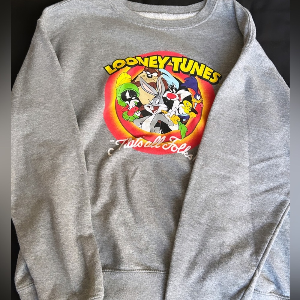 A looney tones sweater